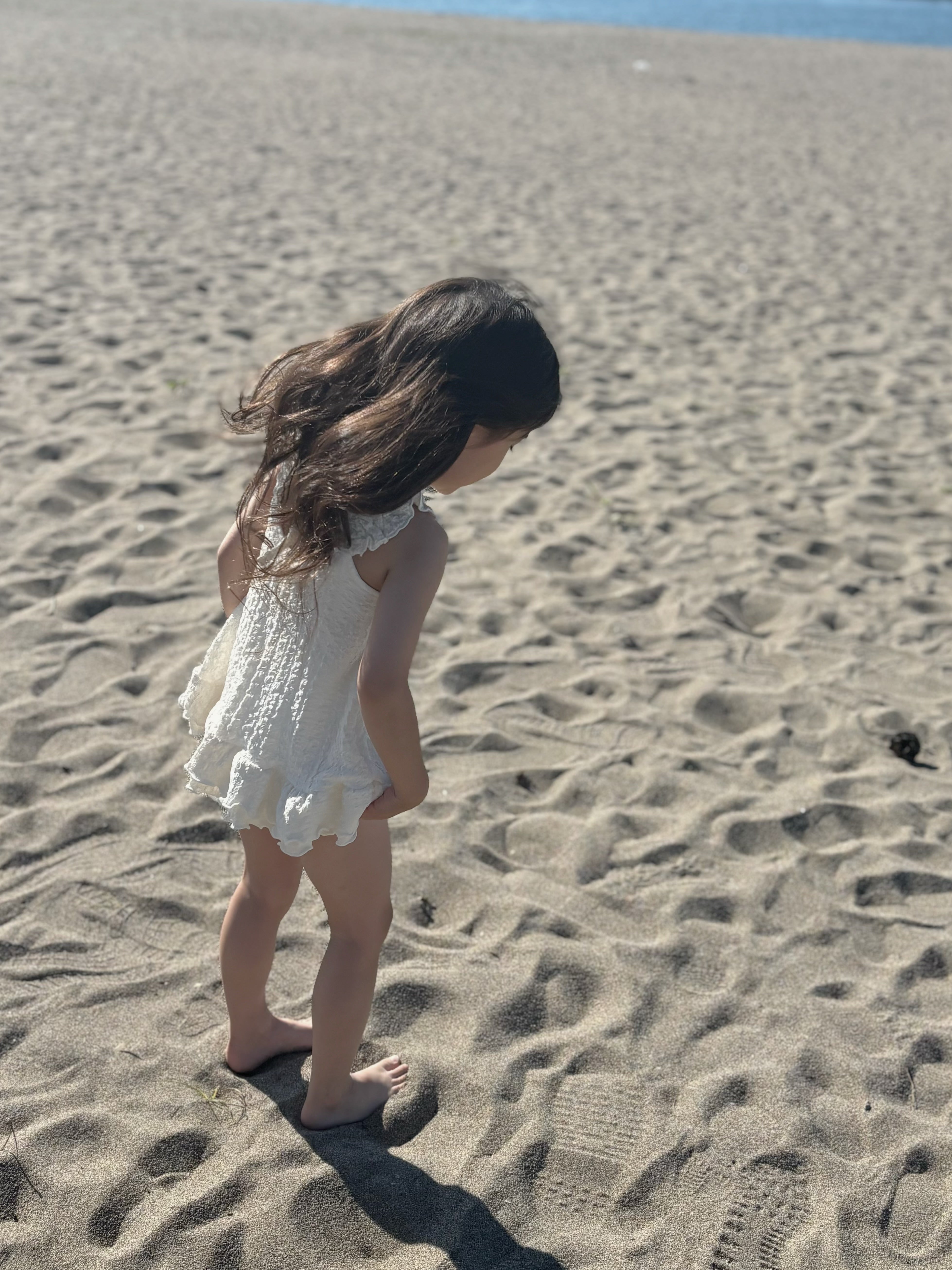 【即納】Rosa swim wear