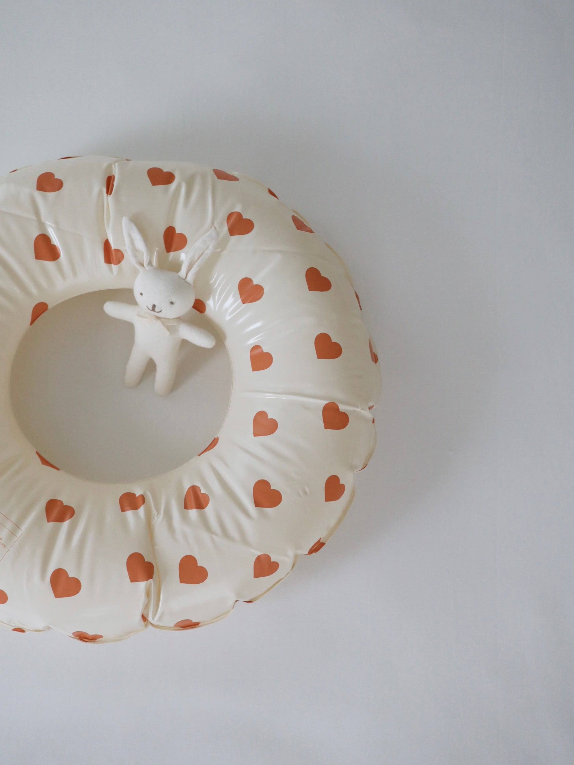 【即納】Mango Heart Float